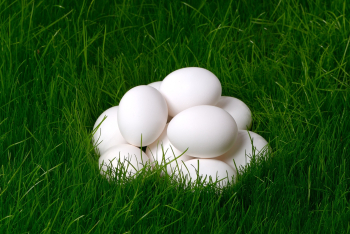 משרד החקלאות אישר מכסת ייבוא ביצים בהיקף של 10 מיליון ביצים בפטור ממכס לחודשיים