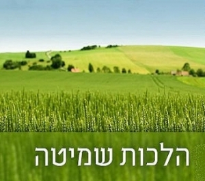 פרטי חקלאי לצורך פעילות בשנת השמיטה התשפ&quot;ב - טופס מקוון